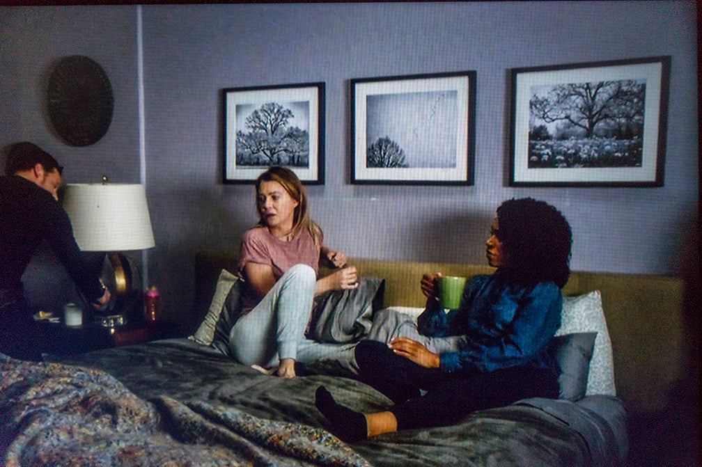 The Grey's Anatomy Suite: The Landscape Photographs from Meredith Grey's Bedroom