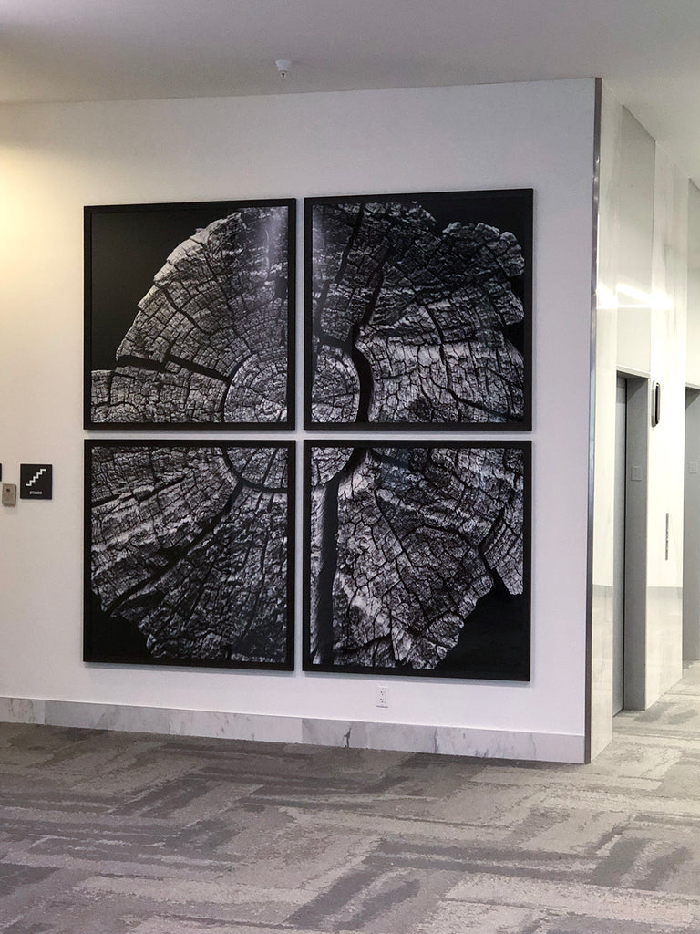 Keith Dotson's photograph 'Map of Time' acquired by NCH Corporation