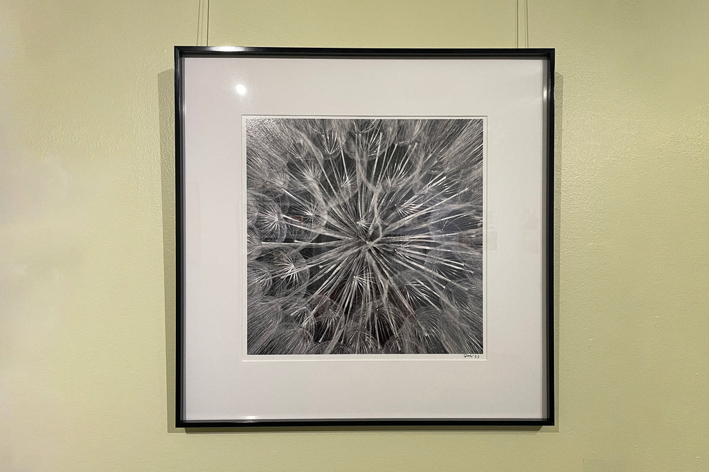 Keith Dotson photographs featured on Art Rocks TV show from Louisiana Public Broadcasting