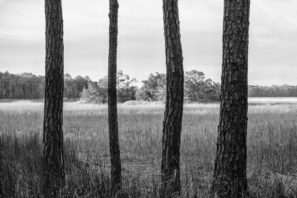 Haints: Ghosts and evil spirits from the old south