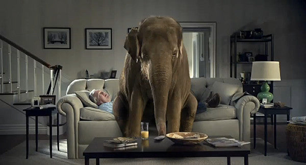 Two Keith Dotson photographs appear on TV in Spiriva's elephant commercial
