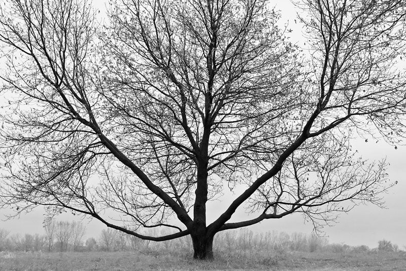 Two Keith Dotson photographs appear in 'New England Home' magazine story