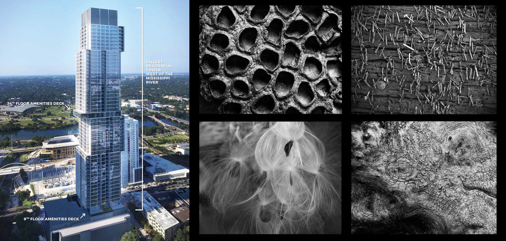 Austin's hot new condo tower, The Independent, acquires four Keith Dotson photographs