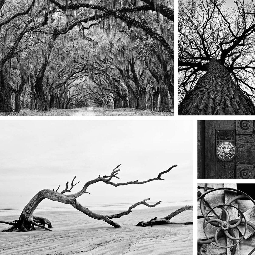 Keith Dotson's Artist Profile Sheet