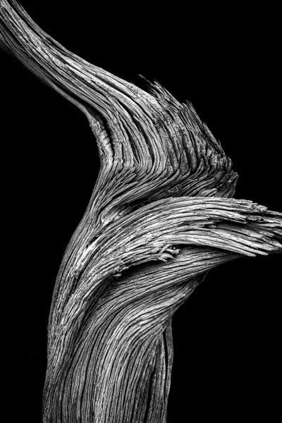 Keith Dotson's photographs featured in Santa Barbara's new Angel Oak restaurant