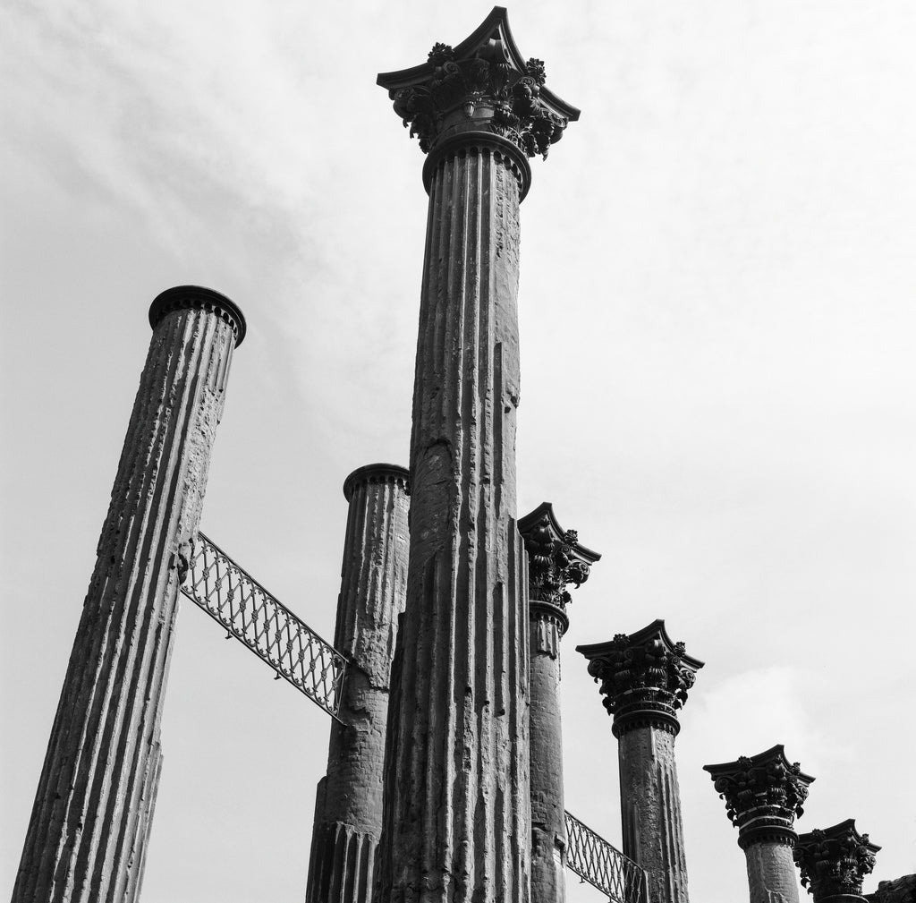 Black and white photograph of the columns of the old Windsor ruins in the Mississippi Delta. Completed in 1861, the house survived the Civil War due to its service as a field hospital for the Union Army, but was burned to the ground in 1890 when cigar ashes fell into a pile renovation rubble.