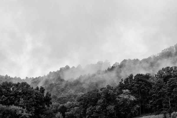 Black and white landscape photograph of morning fog rising from mountains in the American South.