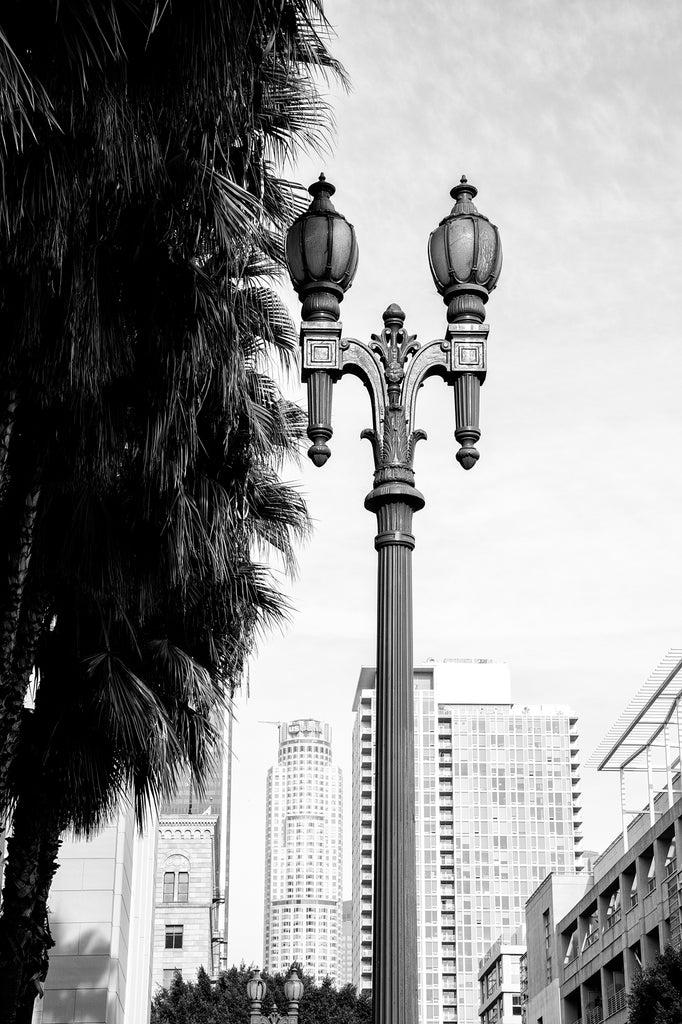Black and white photograph of a view of downtown Los Angeles framed with palm trees and a vintage lamp post.