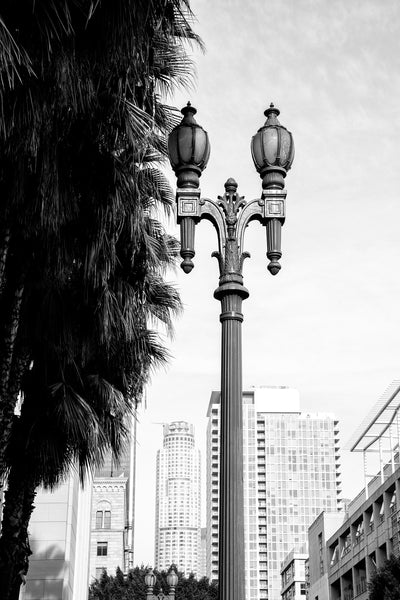 Black and white photograph of a view of downtown Los Angeles framed with palm trees and a vintage lamp post. 