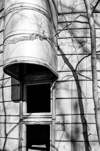 Black and white photograph of tree shadows across the exterior walls of a tall grain silo on a former dairy farm.