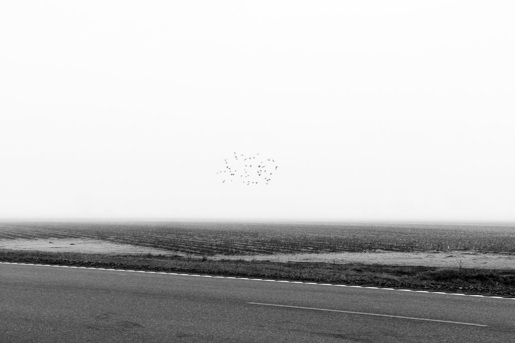 Black and white photograph of a flock of birds swirling in a blurry ball over the flat and foggy Mississippi Delta farm landscape.