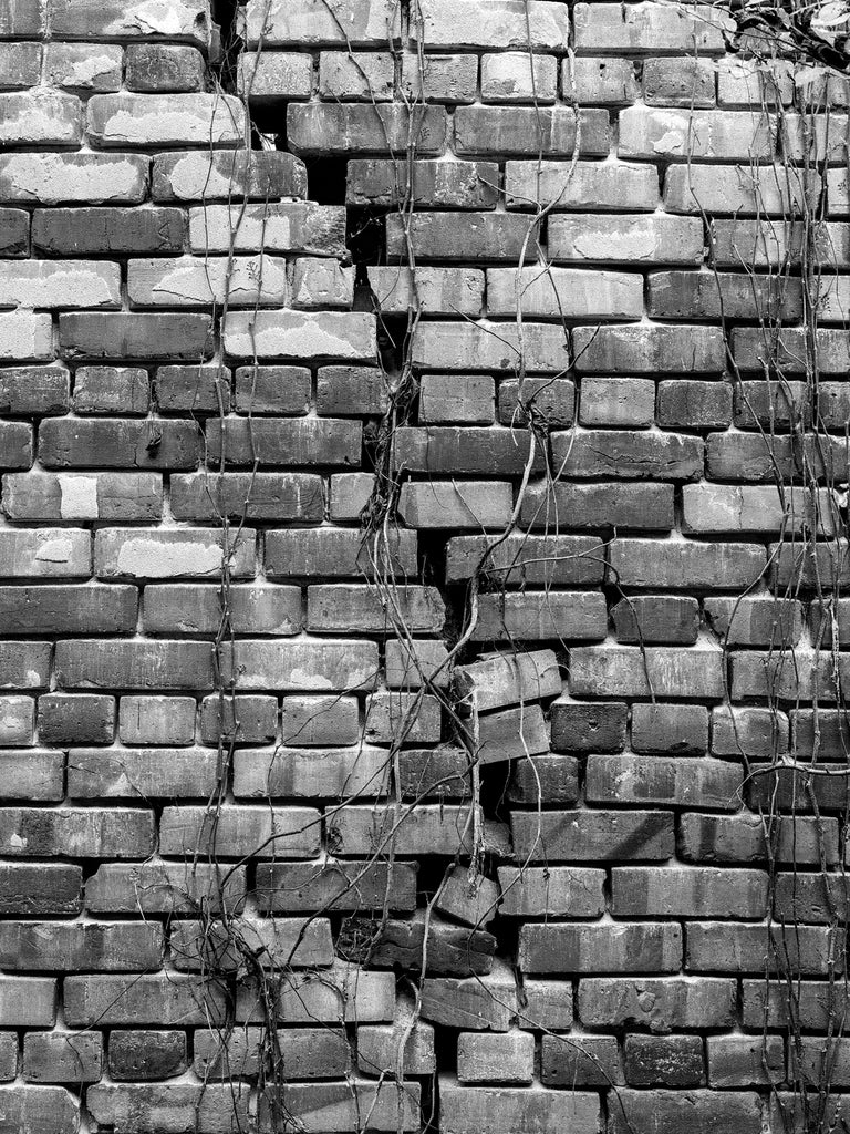 Black and white photograph of the cracked brick wall of an old store that's now an abandoned ruin in the ghost town at Hushpuckena, in the Mississippi Delta region.