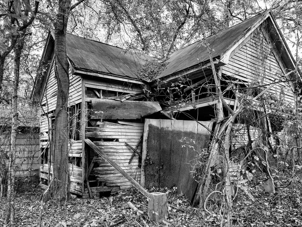 Black and white photograph of an old abandoned house tucked away among a stand of overgrown trees in the ghost town at Hushpuckena, in the Mississippi Delta region.
