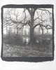 One-of-a-kind, handmade platinum/palladium print showing a winter tree on a foggy morning in the Mississippi Delta. Limited to an edition of 8 at this size plus two artist proofs, the price will increase with each sale.
