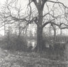 One-of-a-kind, handmade platinum/palladium print showing a winter tree on a foggy morning in the Mississippi Delta. Limited to an edition of 8 at this size plus two artist proofs, the price will increase with each sale.
