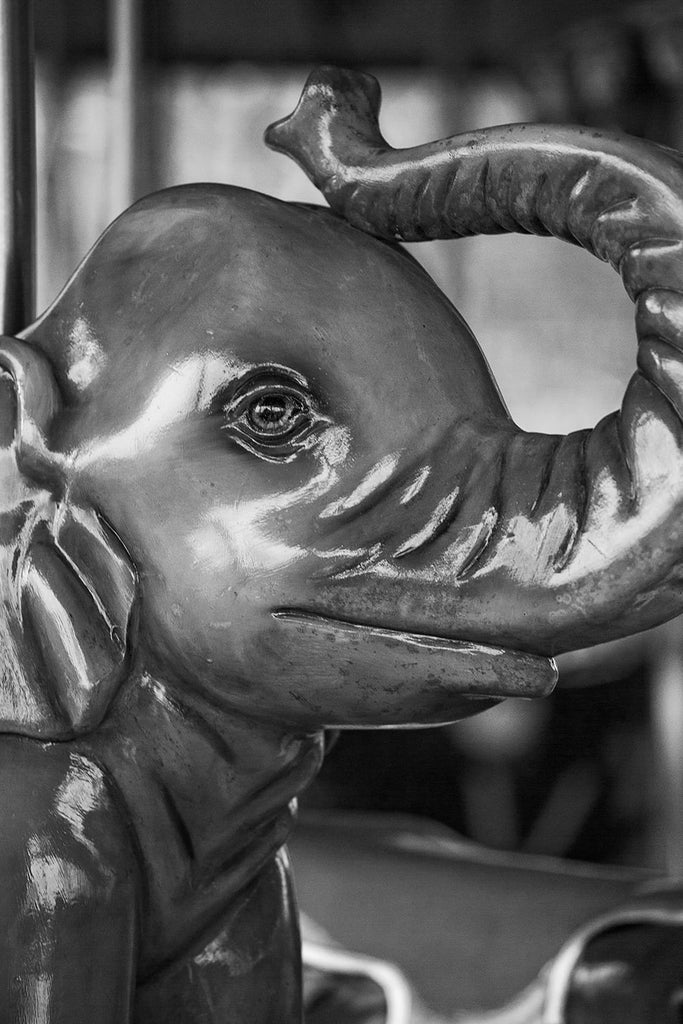 Black and white fine art photograph of a shiny, elephant with trunk raised on an old children's carousel.