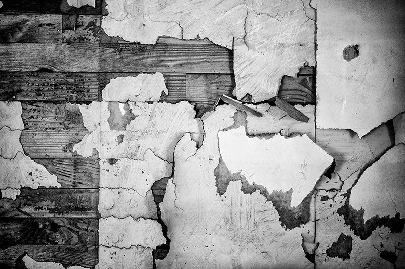 Black and white photograph of wallpaper scraps on the walls inside the home of the late blues musician Sleepy John Estes in Brownsville, Tennessee.