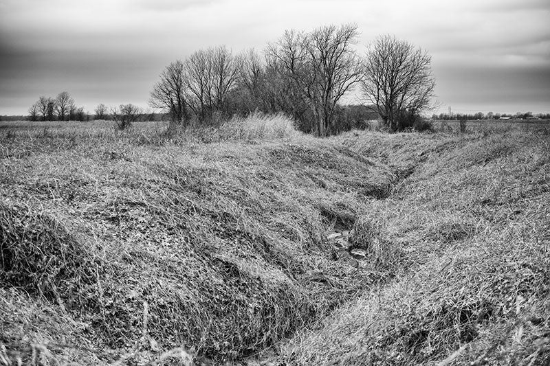 Black and white photograph of an overgrown creek bed in winter, near Clarksdale, Mississippi.