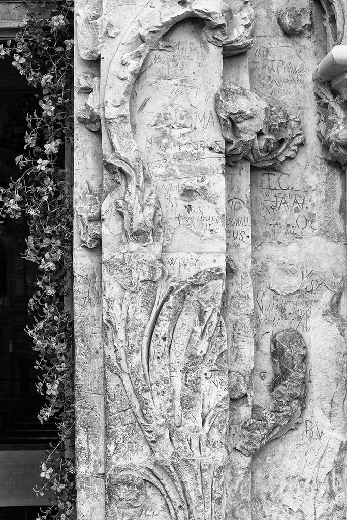 Black and white fine art photograph of climbing ivy and historic graffiti scratched into the limestone walls of the old Spanish Mission San Jose in San Antonio.