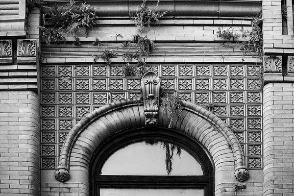 Black and white photograph of ferns growing from the ornate stonework of a historic storefront building from 1891, on King Street in Charleston, South Carolina. 
