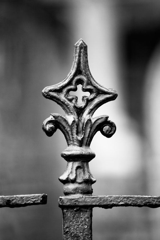 Black and white photograph of an ornamental iron fence in Charleston, a city known for its long history of beautiful craftsmanship in iron work.