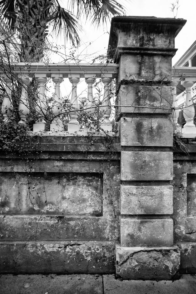 Black and white photograph of a beautiful old wall around the garden and property of one of Charleston's historic mansions.