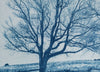Landscape with Two Barren Trees - Real Handmade Cyanotype Print