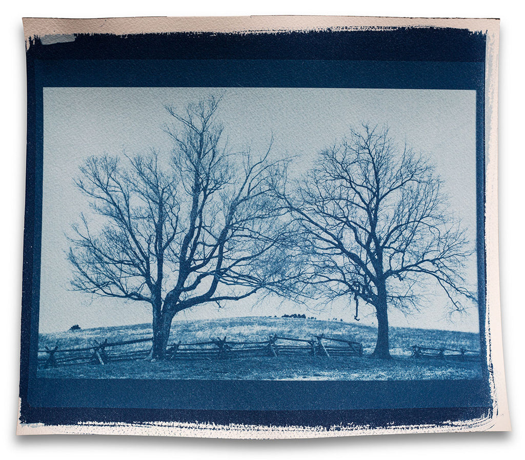 Landscape with Two Barren Trees - Real Handmade Cyanotype Print