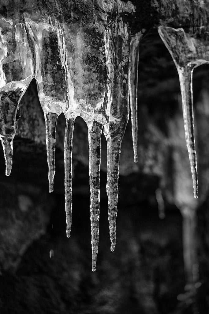 Black and white landscape photograph of icicles dangling from the underside of a rock ledge in a mountain forest.