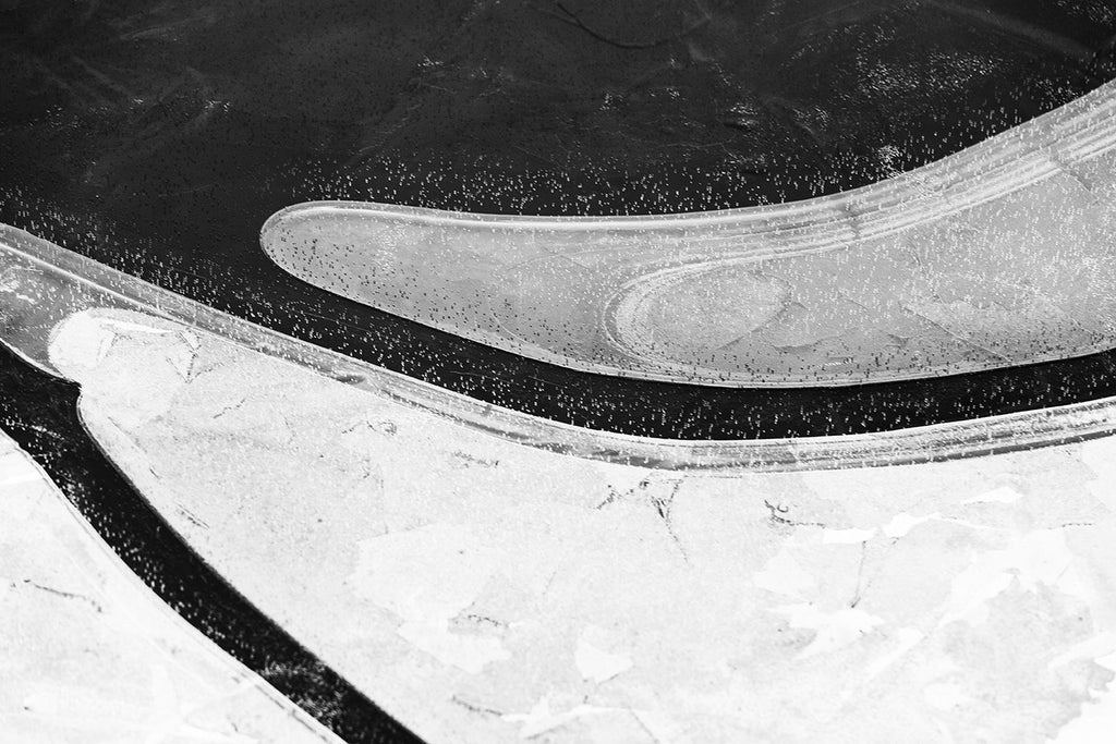 Black and white landscape photograph of a natural abstraction composed from the graceful organic shapes of pond ice formed along the shoreline.