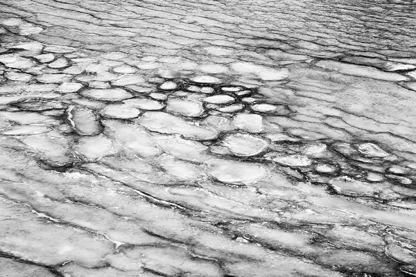 Black and white landscape photograph of the abstract patterns made by cracked and segmented pond ice.