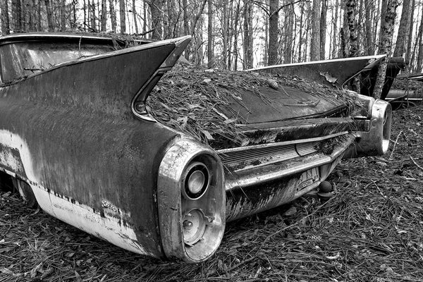 Black and white fine art photograph of a the space age rocket-style tail fin on a rusting, abandoned classic American car left in the forest.