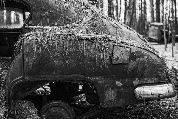 Black and white fine art photograph of the rusty rear fender of a wrecked and abandoned vintage roadster automobile collecting pine needles in the forest.