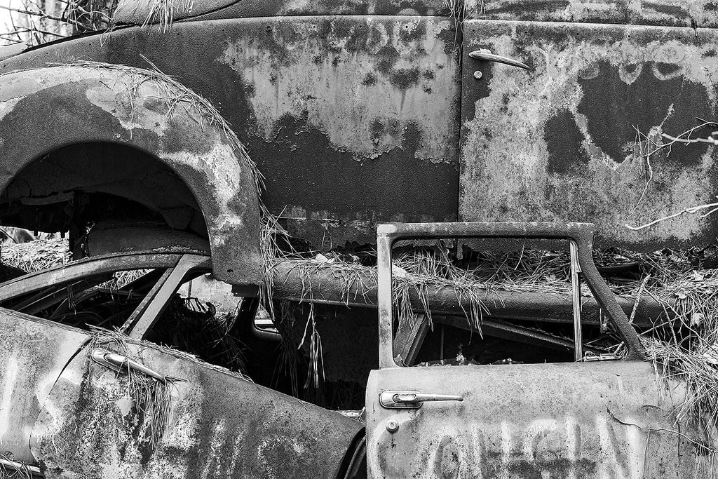 Black and white fine art photograph of a pile of junked, rusty antique cars in a forest that was once a junkyard.