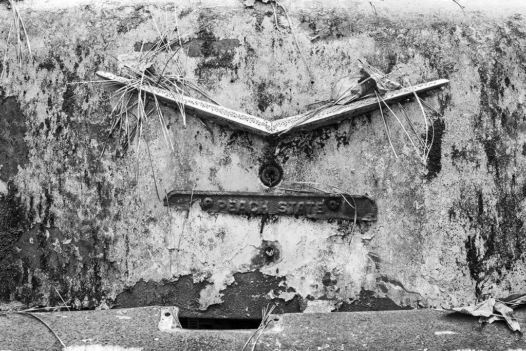 Black and white fine-art texture detail photograph of an abandoned classic American car with only the partial remains of a rusty Georgia license plate that says "Peach State."