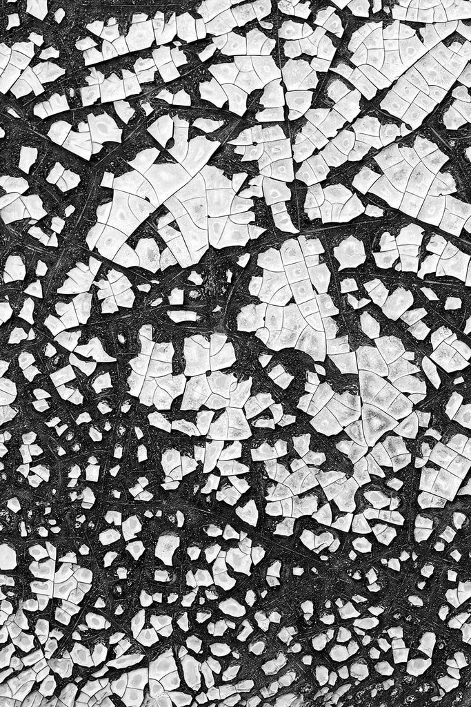 Black and white industrial abstract photograph of chipped and peeling paint on the rusty metal side of an abandoned antique railroad car.