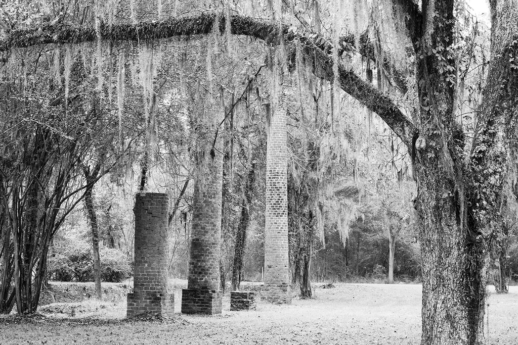 Black and White Photograph of Three Columns from an Destroyed Southern Mansion