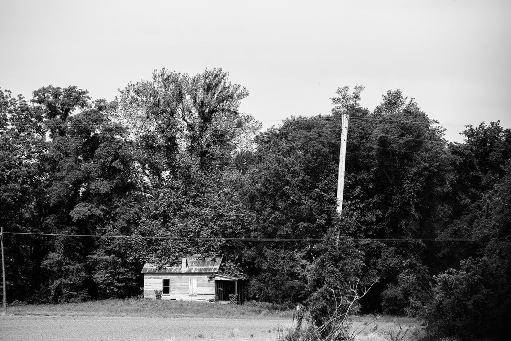Black and white photograph of an old wooden shack on the edge of a farm field and being overtaken by the woods.