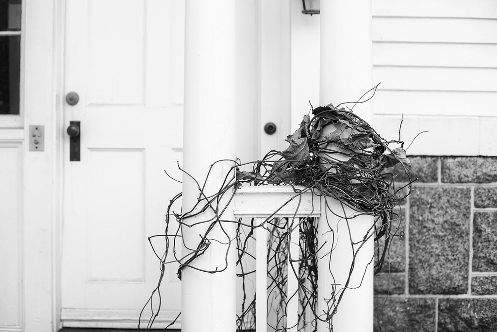 Black and white photograph of an old white mansion in New England with a vine wrapped about the column of the garden porch.