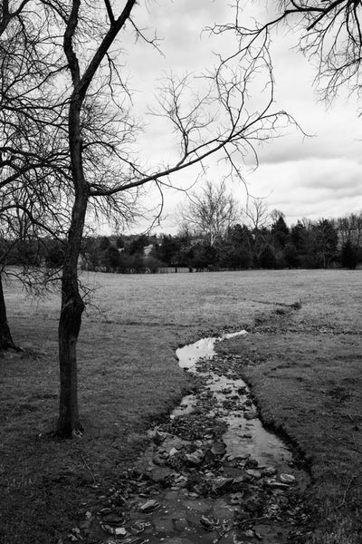 Black and white landscape photograph of a small creek winding through the grass of an open field on a gloomy, atmospheric day.