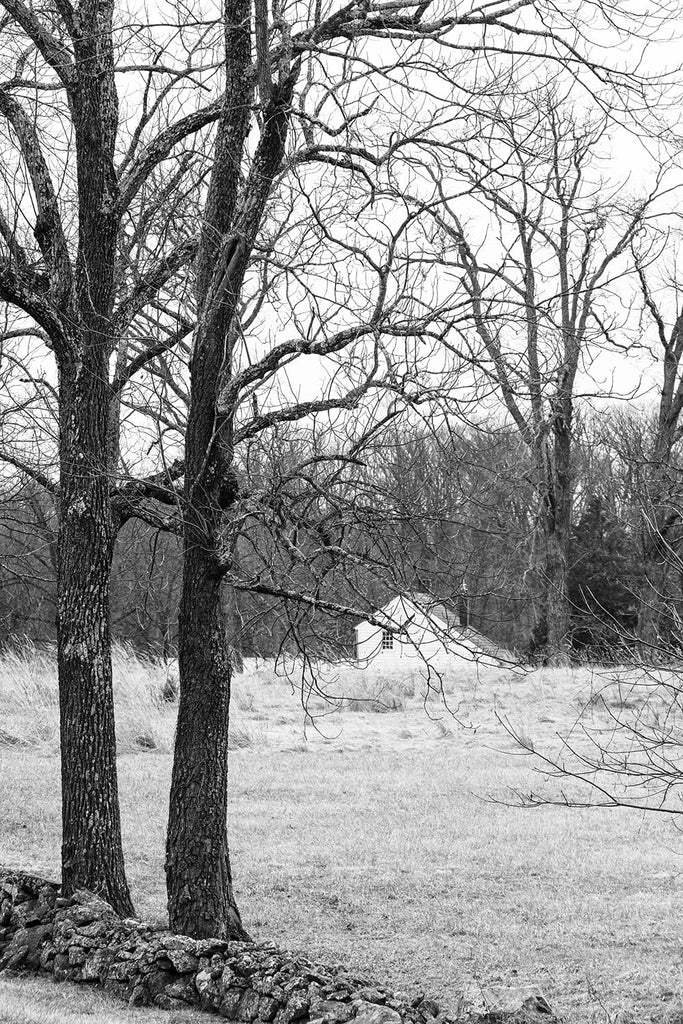 Black and white photograph of a little white farmhouse set in the wintery Pennsylvania landscape, with tall trees and an old stone wall in the foreground
