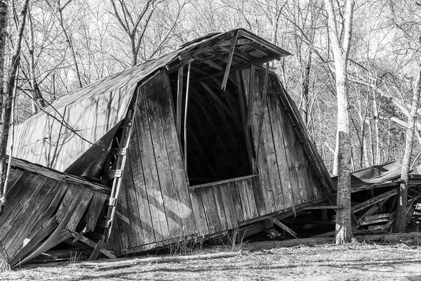 Black and white photograph of a fallen wooden barn with the hayloft sitting intact on the ground.