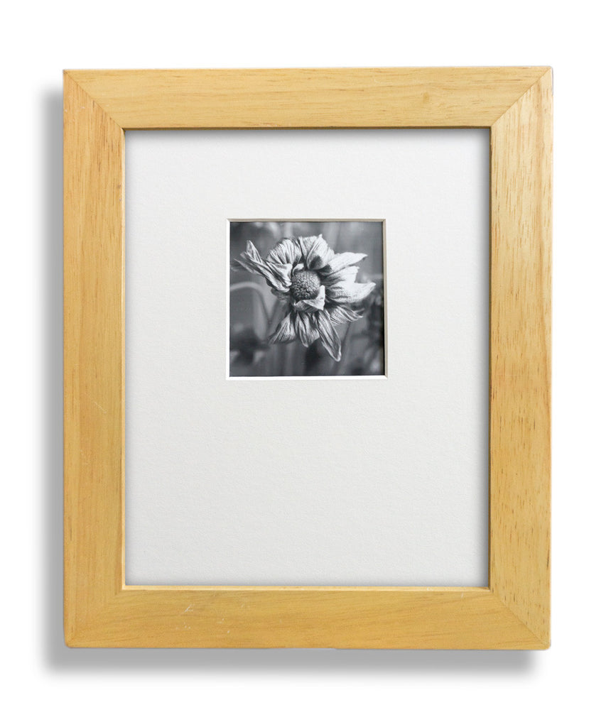 Dead Flower Limited Edition Gelatin Silver Photograph