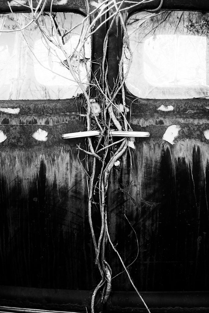 Black and white photograph of an antique classic American car that has been abandoned in the forest with vines growing through its chrome door handles.