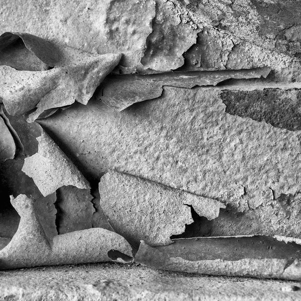 Black and white macro photograph of peeling paint that has curled away from a rusty antique machine. (Square large format)