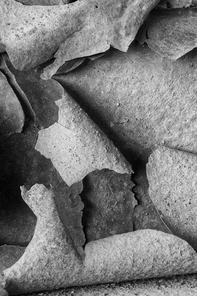 Detailed black and white macro photograph of large curls of paint peeling away from the rusty metal surface of an old piece of equipment.