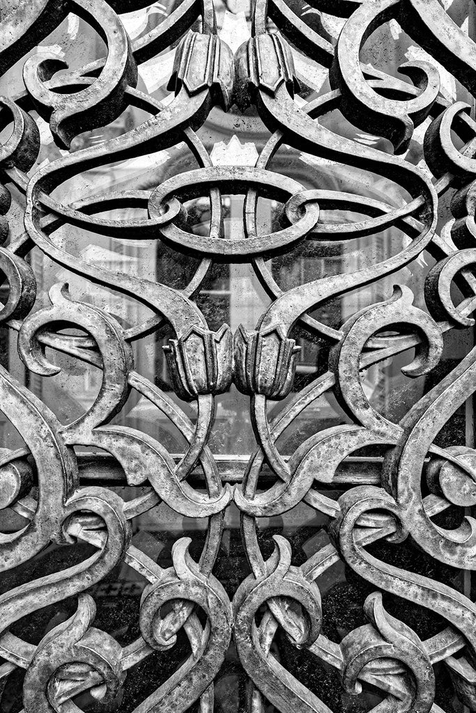 Black and white detail photograph of the ornate ironwork window screens on the front of the historic Farmers and Exchange Bank in Charleston, built circa 1853.