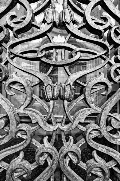 Black and white detail photograph of the ornate ironwork window screens on the front of the historic Farmers and Exchange Bank in Charleston, built circa 1853.