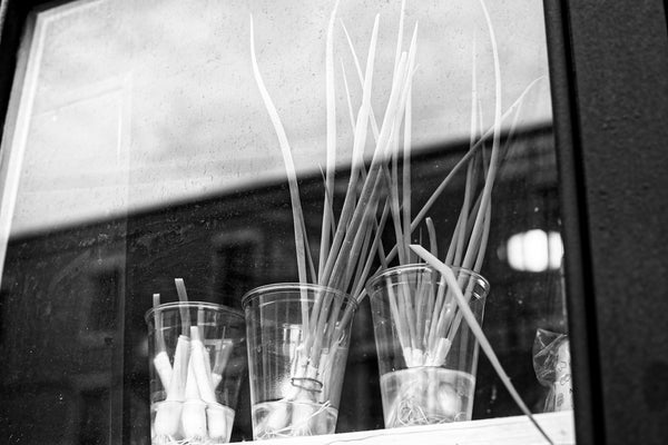 Black and white photograph of onions in cups in the window of a restaurant in Charleston's historic City Market