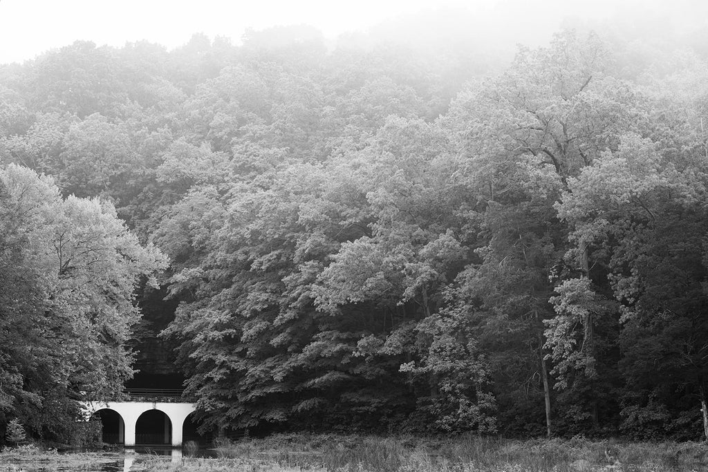 Black and white photograph of a foggy wooded landscape punctuated by a structure with stark white arches.